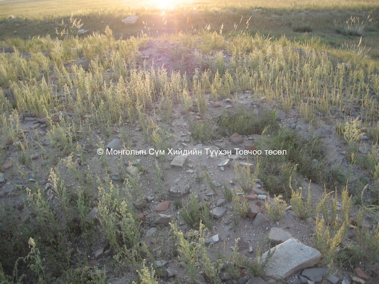 Талын модонгийн хийдийн туурь/2/